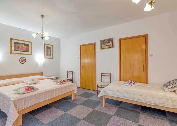 Complex Nevia 게스트하우스