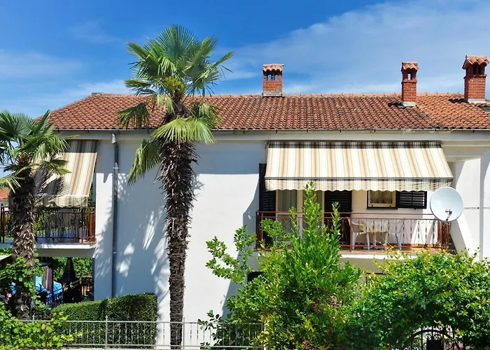 게스트하우스 Complex Nevia