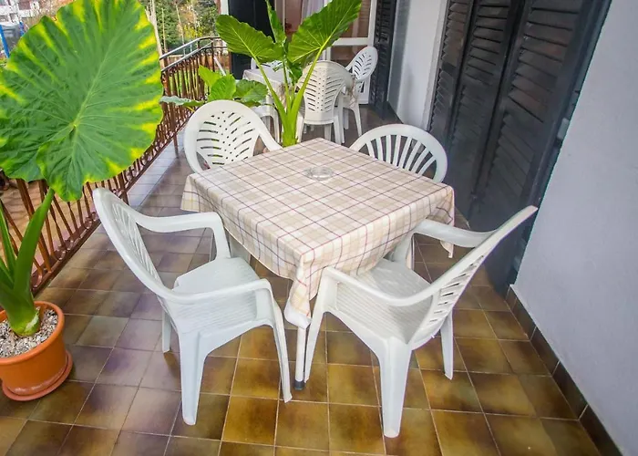 Complex Nevia בית הארחה